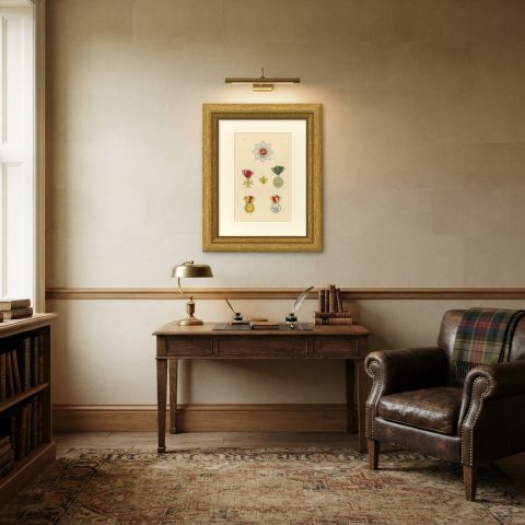 Orders of Baden, Zähringer Lion and Medals, Plate VIII, Wood Engraving, 1844, shown framed in a room